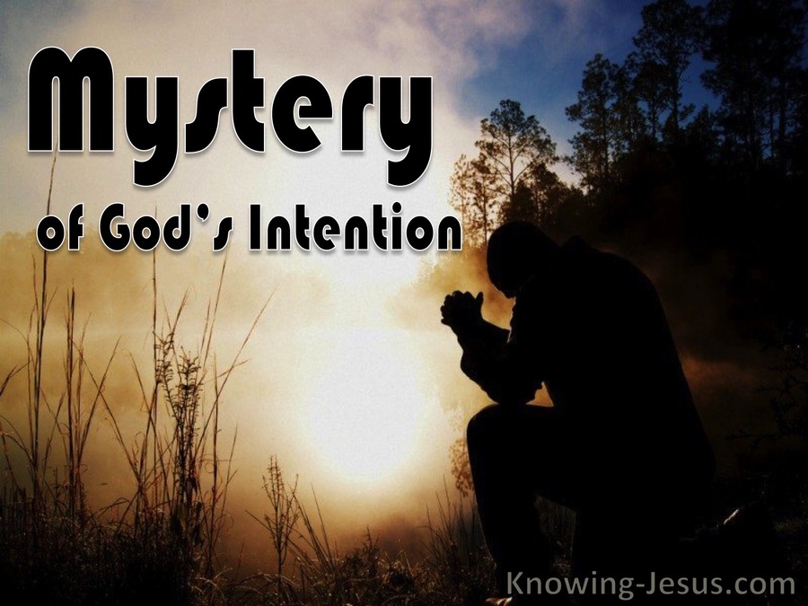 Mystery of God’s Intention (devotional)07-30 (brown)